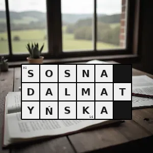 Rozwiązanie krzyżówki: sosna bośniacka - sosna dalmatyńska | hasła, synonimy i podpowiedzi Hasło krzyżówkowe sosna bośniacka - sosna dalmatyńska – rozwiązanie, synonimy, podpowiedzi i definicje krzyżówkowe